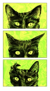 A study of cat ears-green edit-small posting size
